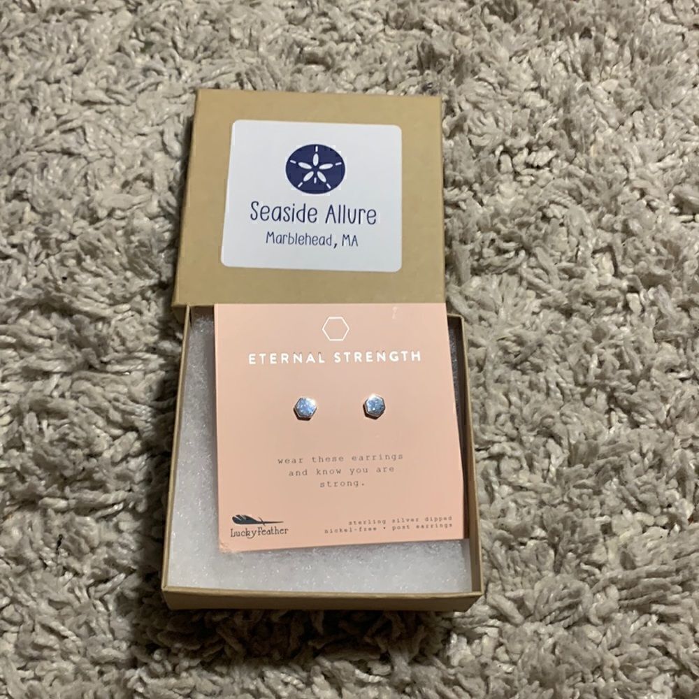 Lucky feather NIB new moon silver plated earrings